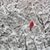 Wanda Gwidt Woehlert's profile image