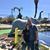 Caryn Drenth's profile image