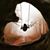 Jen Greene's profile image