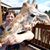 Veronica Barone Herig's profile image