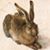 Sandra Haut Helmuth's profile image