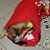 Jill Wagenaar Bayner's profile image