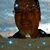Judy Lorena Longhenry Johnson's profile image