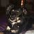 Tina Guerrette's profile image