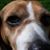 Julie Barnes's profile image