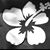 Crystal Grobe Ariola's profile image