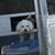 Donna Remsnyder's profile image