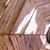 Haris Hashimi's profile image