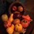 Jennifer Dehnhardt Smith's profile image