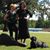 Rita Shearon's profile image