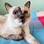 Caroline Duwaerts's profile image