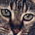 Michael Winski's profile image
