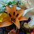 Ellyn Ponkey's profile image