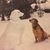 Patricia Kidder Moyer's profile image