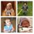 Susan Haas's profile image