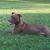 Lisa Townsend Bowley's profile image