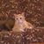 Gretchen Spadinski's profile image