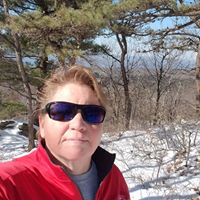 Jill Holley Shrope's profile image