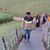 Sachin Mohite's profile image