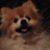Steven Hummel's profile image
