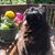 Rosie Gordon's profile image