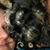 Abbi Jahaaski's profile image