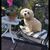Mary Hardie Yip's profile image