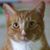 Karen Rupa's profile image