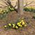 Susan Lynn Weaver's profile image