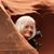 Stella Williams Tandy's profile image