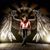 Angel Alicea's profile image