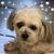 Harry Harris's profile image