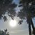 Patti Lynn Wright's profile image