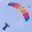 Michael Lowe's profile image