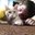 Kristafer Barbay's profile image