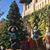Lou Ann Hamel's profile image