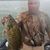Doug Rudasill's profile image