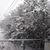 Irene N Jose Flores's profile image