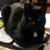 Kristina M Rohr's profile image