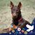 Beverly Dow's profile image