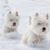 Karen Skidmore Hughes's profile image