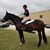 Baylie Meeker's profile image