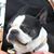 Loraine Jacoby's profile image
