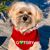 Gatsby Newport's profile image