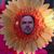Jeremy Hart's profile image