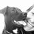 Carrie Saites's profile image