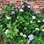 Emilie Kristie Tuxford-Barnette's profile image