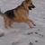 Connie Sparman's profile image
