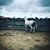 Ashley Wilmer Lytle's profile image
