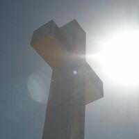 Jon Hankins's profile image